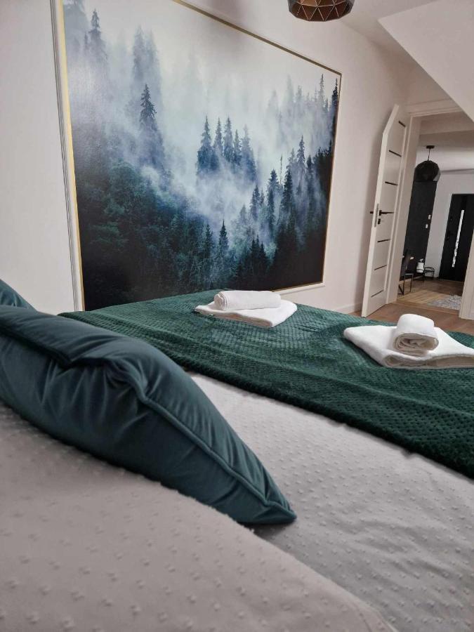 Apartament Widokowa Polana Szaflary Zewnętrze zdjęcie