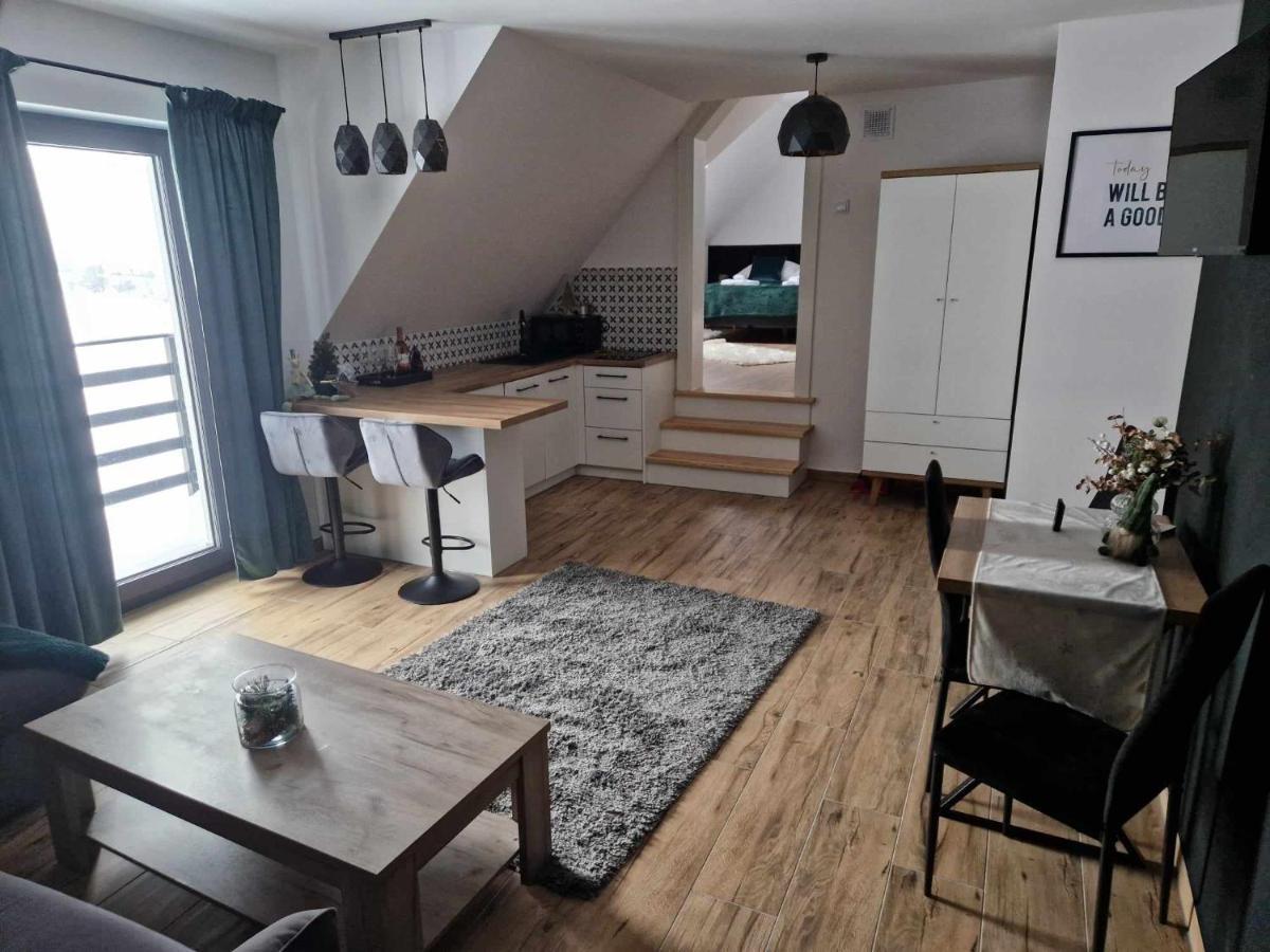 Apartament Widokowa Polana Szaflary Zewnętrze zdjęcie